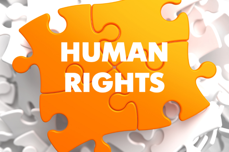 Human Rights and Therapy How Greenpoint Psychotherapy Supports Your Well-being