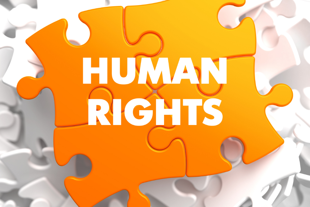 Human Rights and Therapy How Greenpoint Psychotherapy Supports Your Well-being
